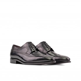 Longwing Blucher 2